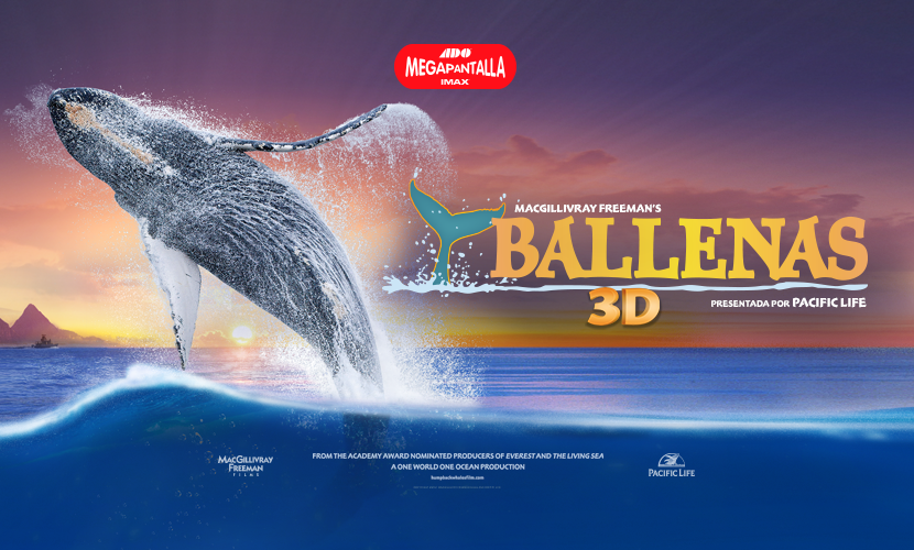 Ballenas 3D